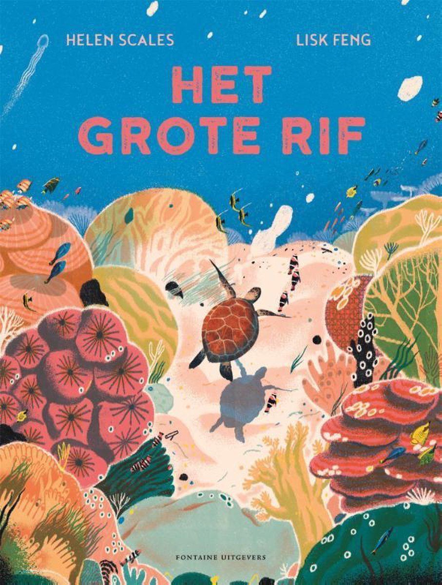 Boekrecensie Het grote rif - Helen Scales