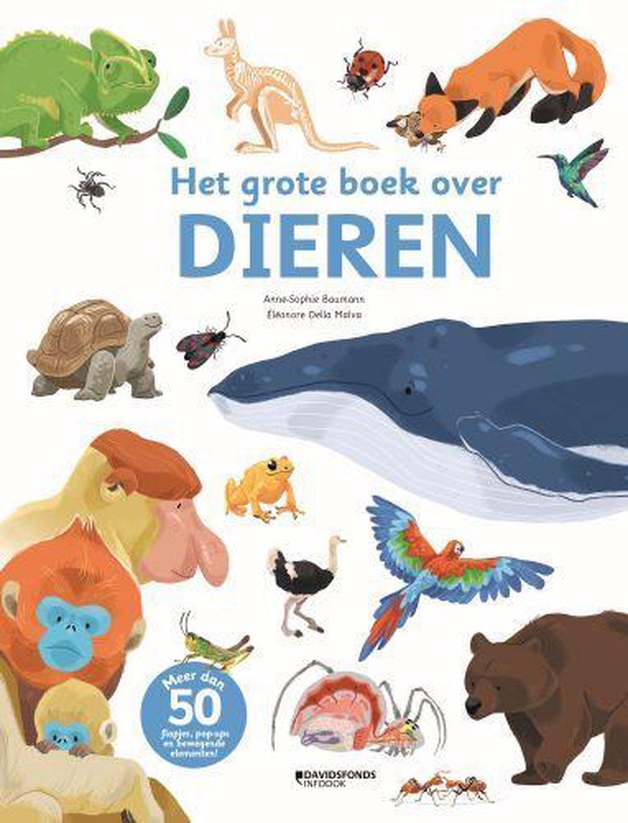 Boekrecensie Het grote boek over dieren - Anne-Sophie Baumann