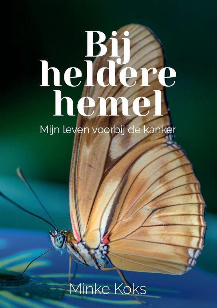 Boekrecensie Bij heldere hemel - Minke Koks