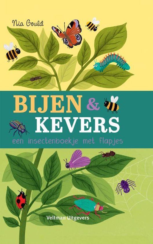 Boekrecensie Bijen & kevers, een insectenboekje met flapjes - Molly Littleboy