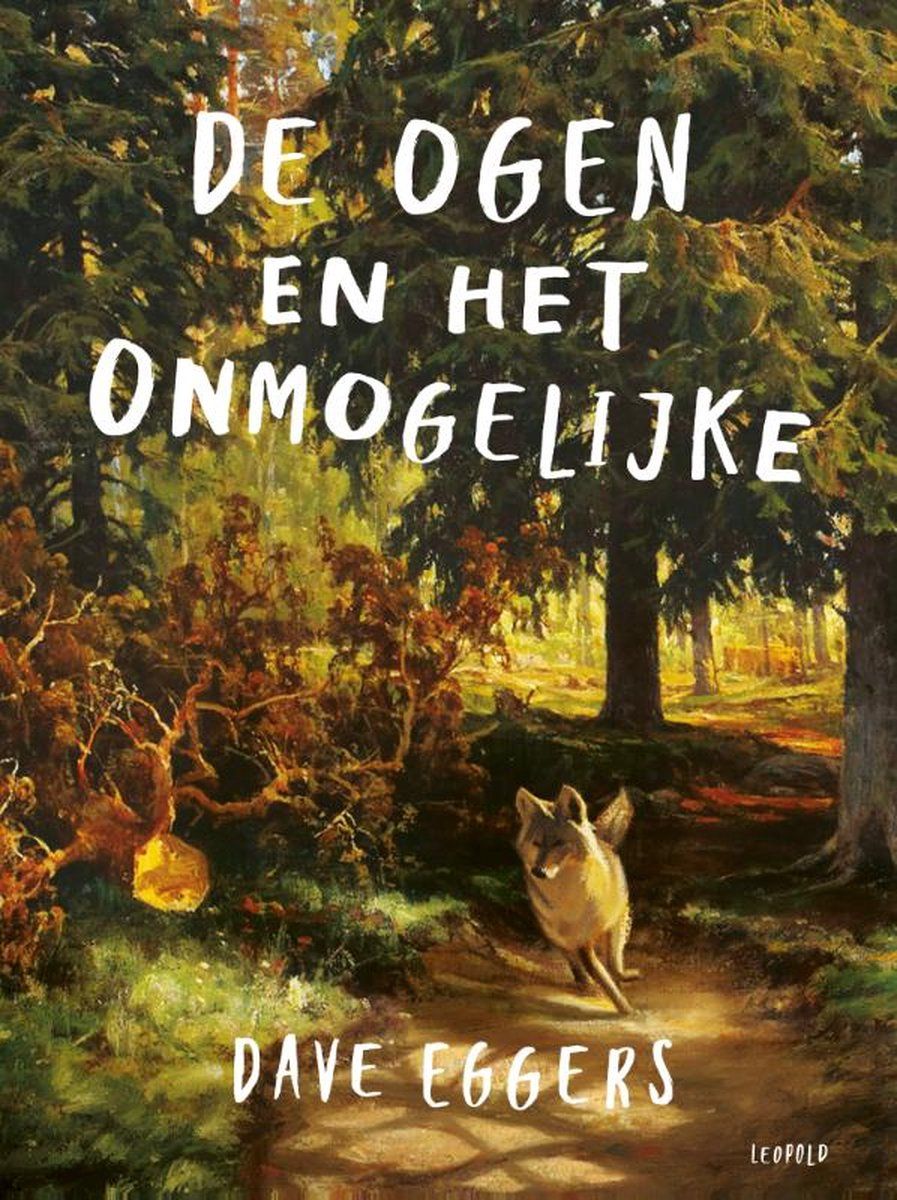 Boekrecensie De ogen en het onmogelijke - Dave Eggers