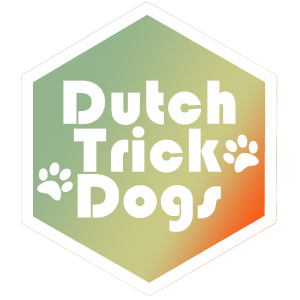 Recensie Dutch Trick Dogs