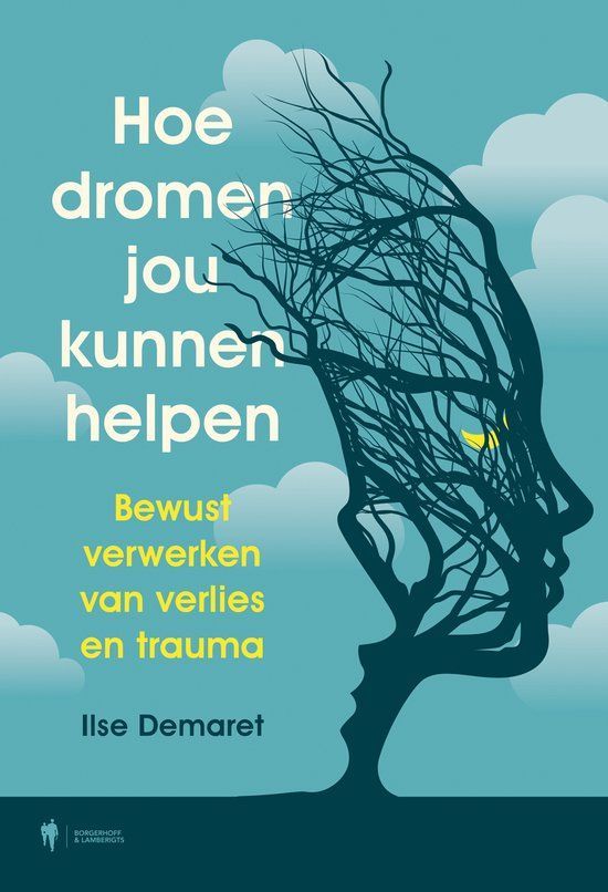 Boekrecensie Hoe dromen jou kunnen helpen - Ilse Demaret