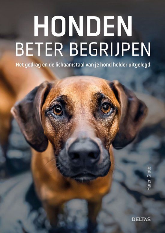 Boekrecensie Honden beter begrijpen