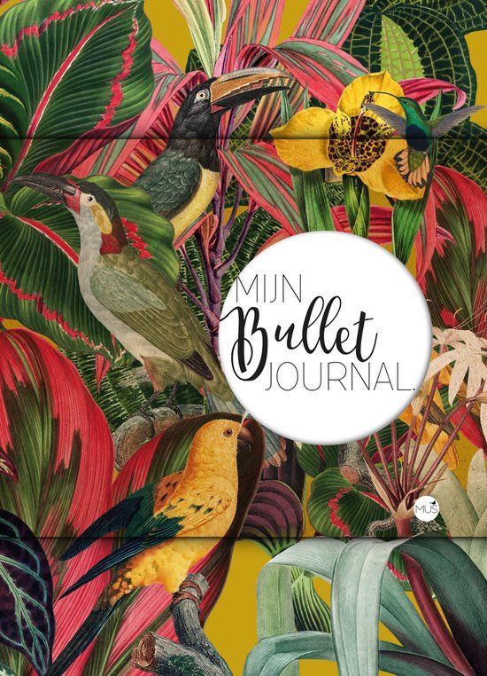 Boekrecensie Mijn Bullet Journal Jungle