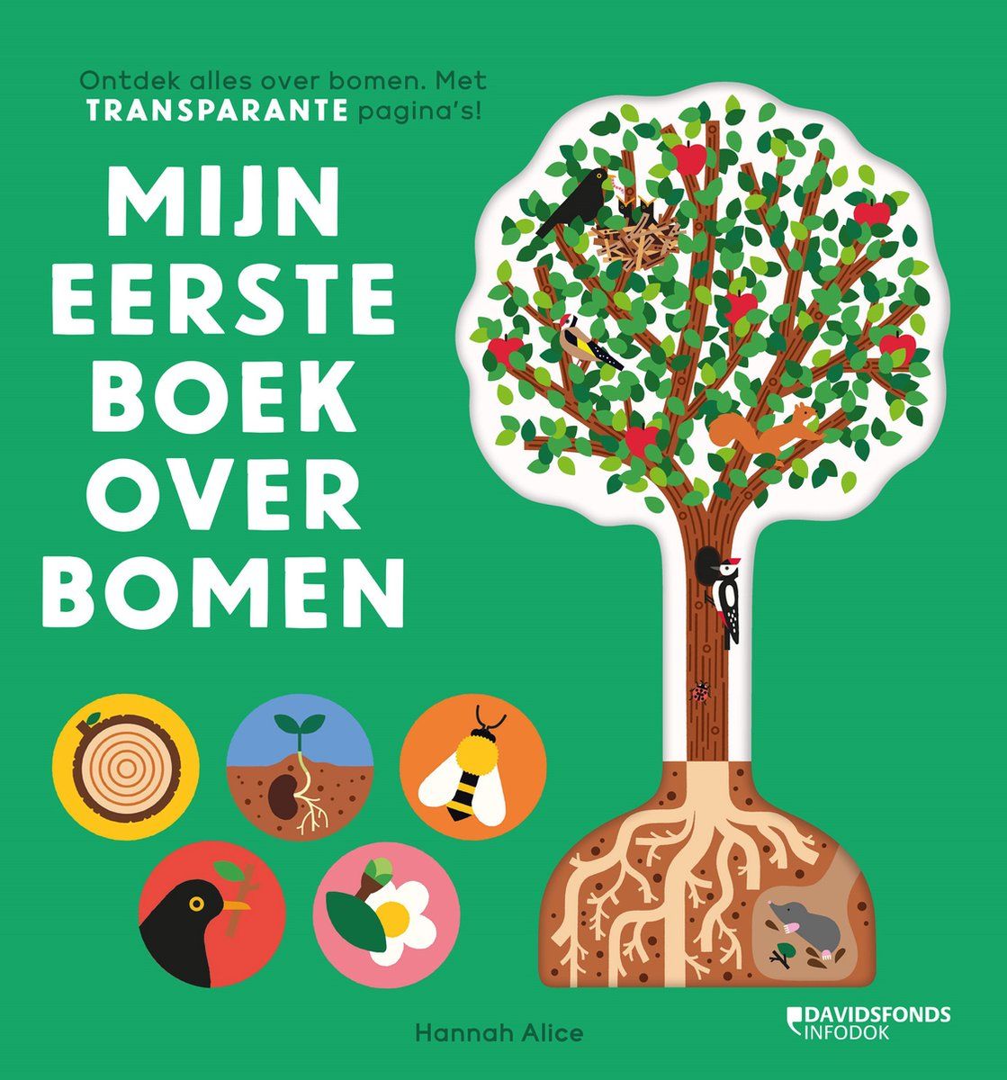 Boekrecensie Mijn eerste boek over bomen - Hannah Alice