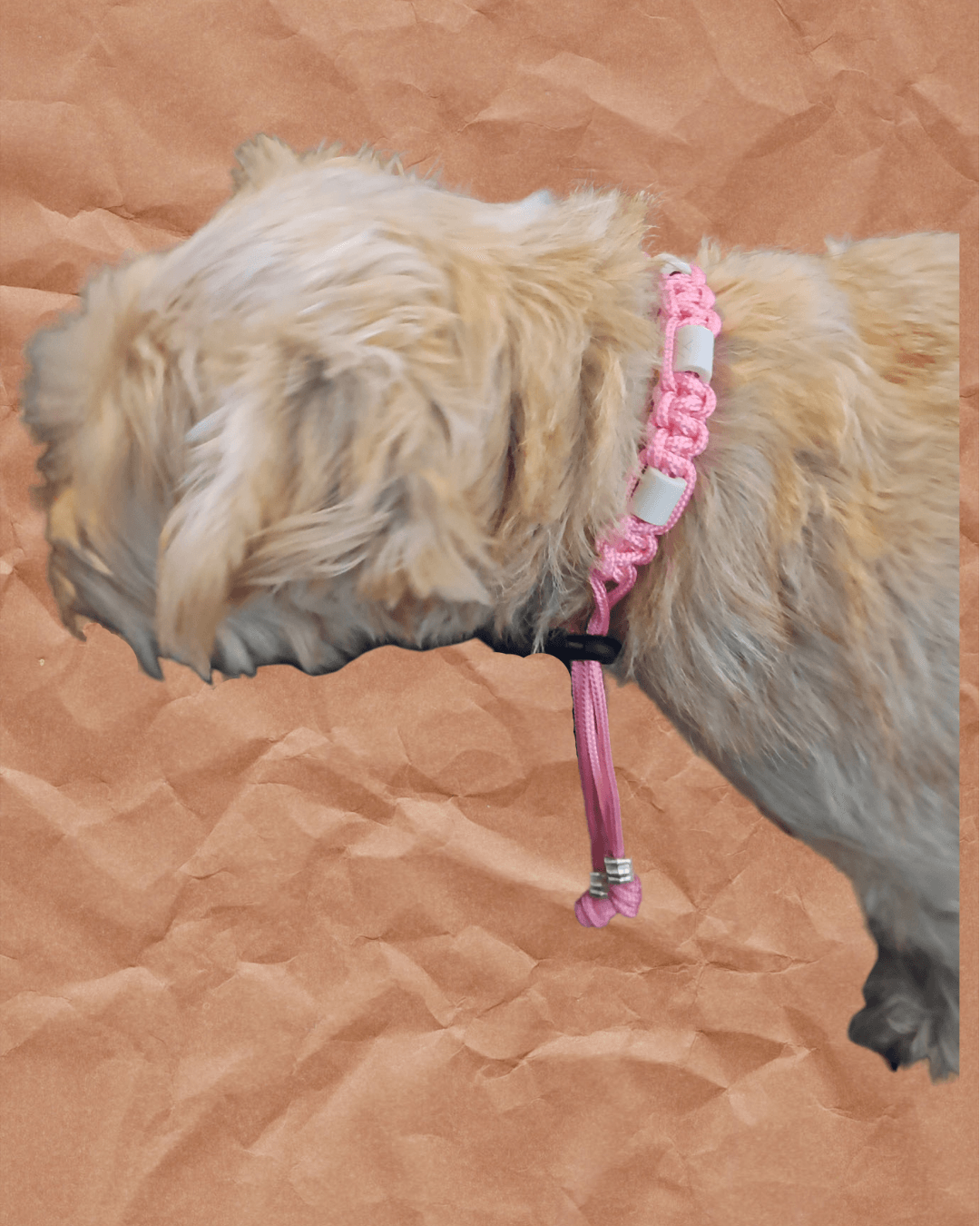 Jiva etherische olie