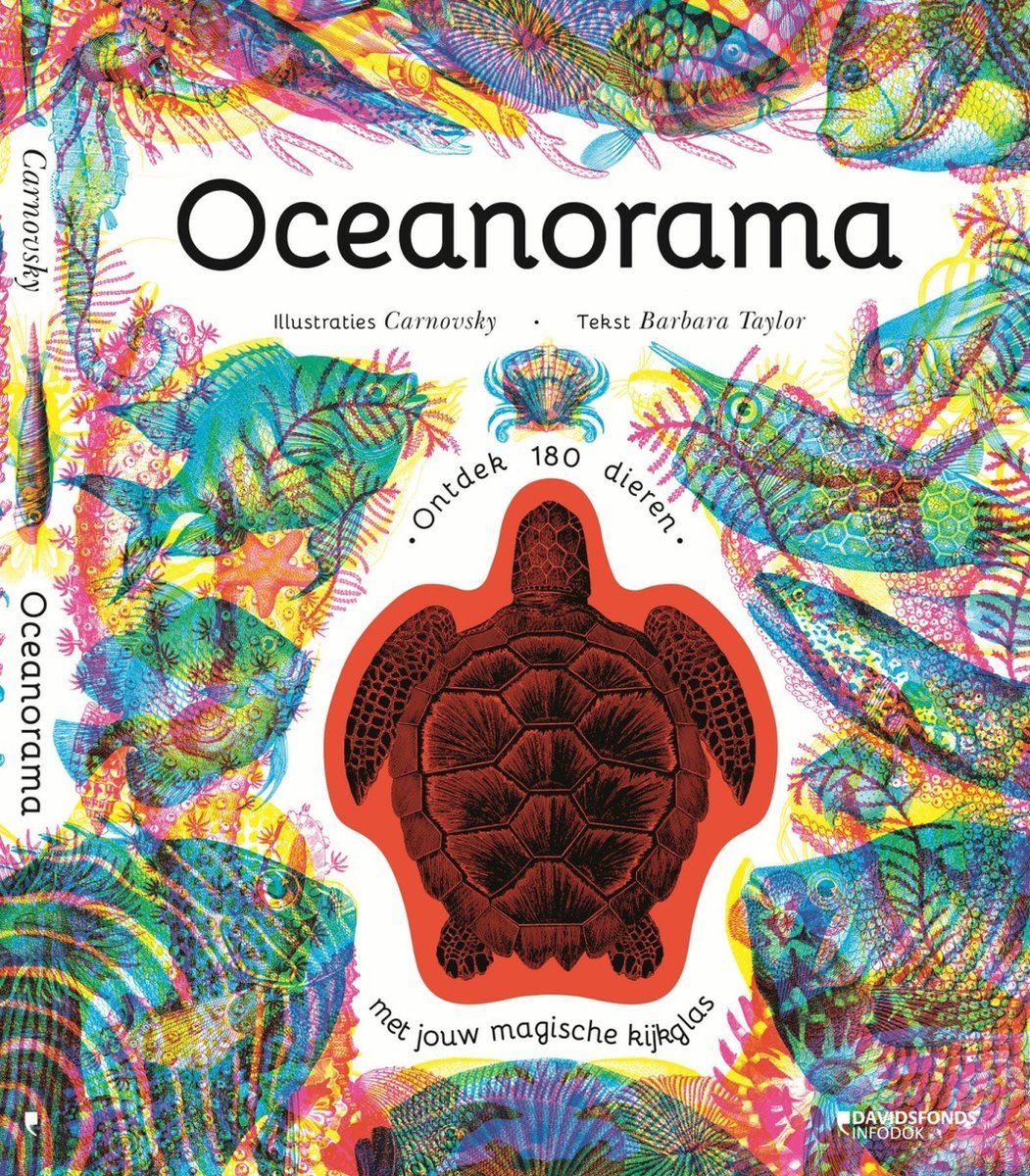 Boekrecensie Oceanorama - Barbara Taylor