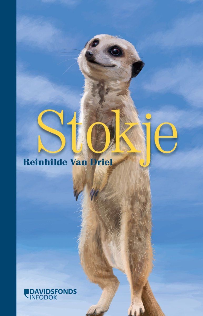 Boekrecensie Stokje - Reinhilde Van Driel