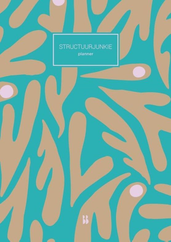 Boekrecensie  Structuurjunkie-planner - A4 Cynthia Schultz