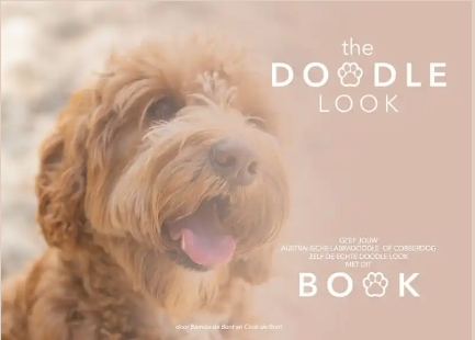 Boekrecensie The Doodle look - Bernice de Bont