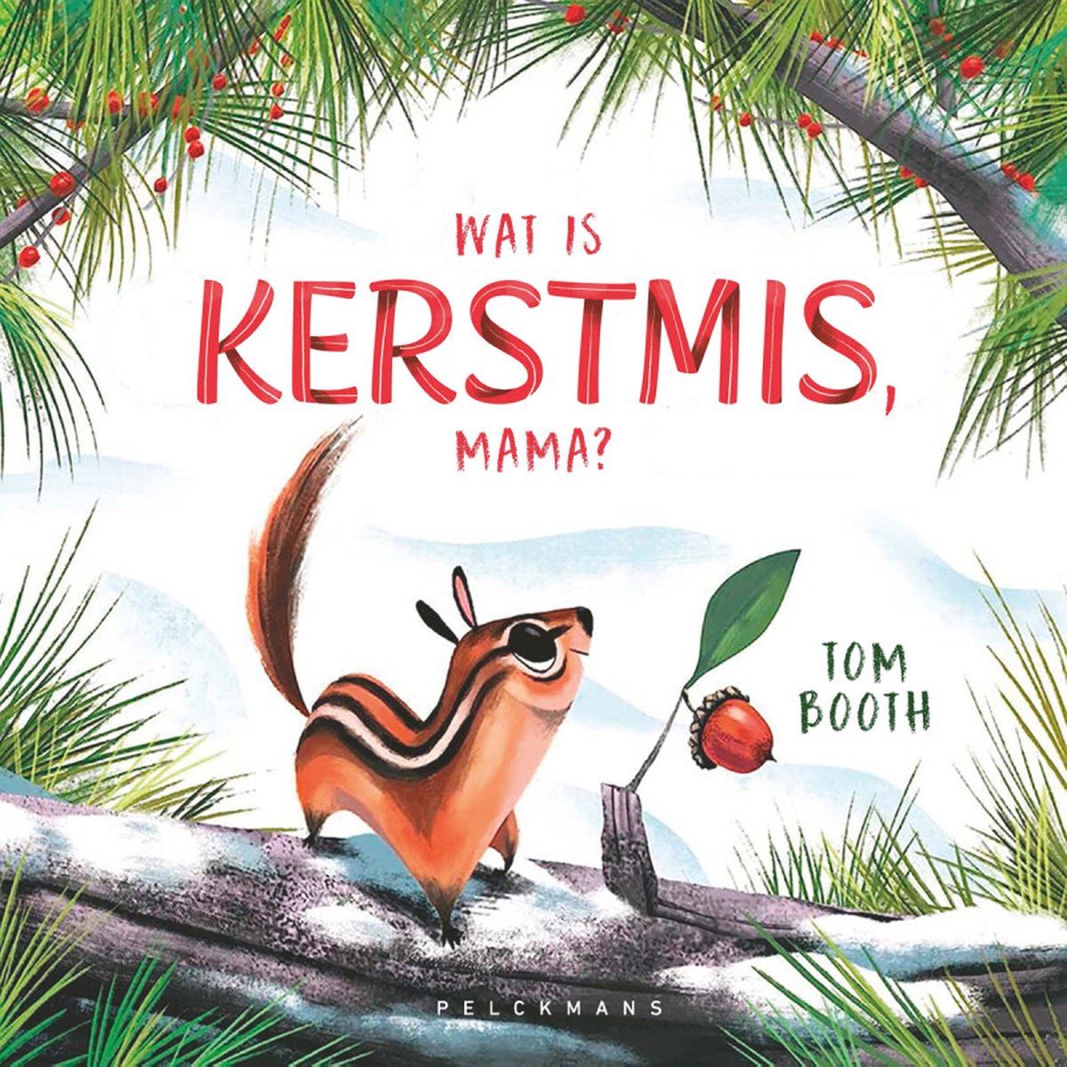 Boekrecensie Wat is Kerstmis, mama? - Tom Booth