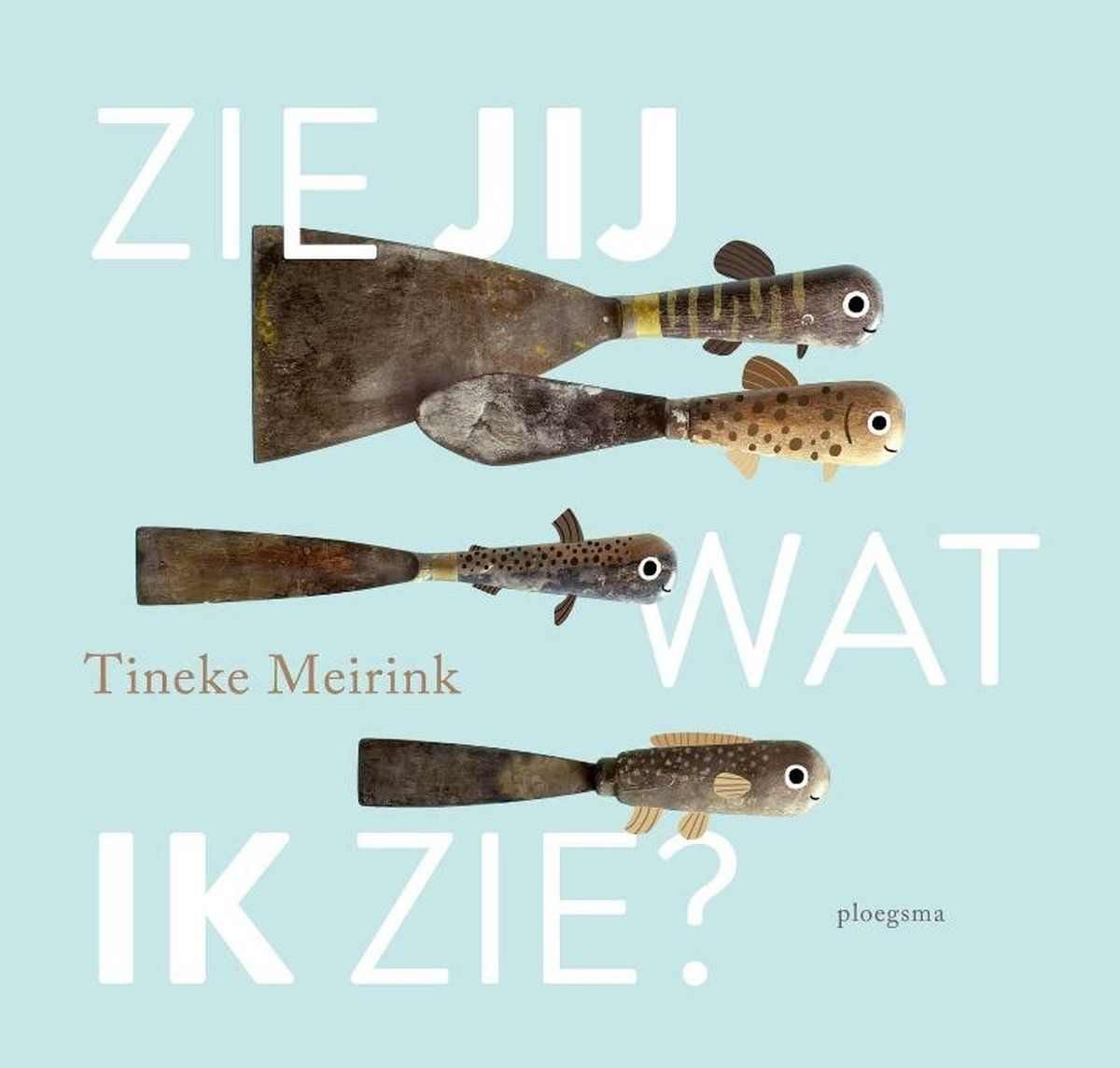 Boekrecensie Zie jij wat ik zie? - Tineke Meirink