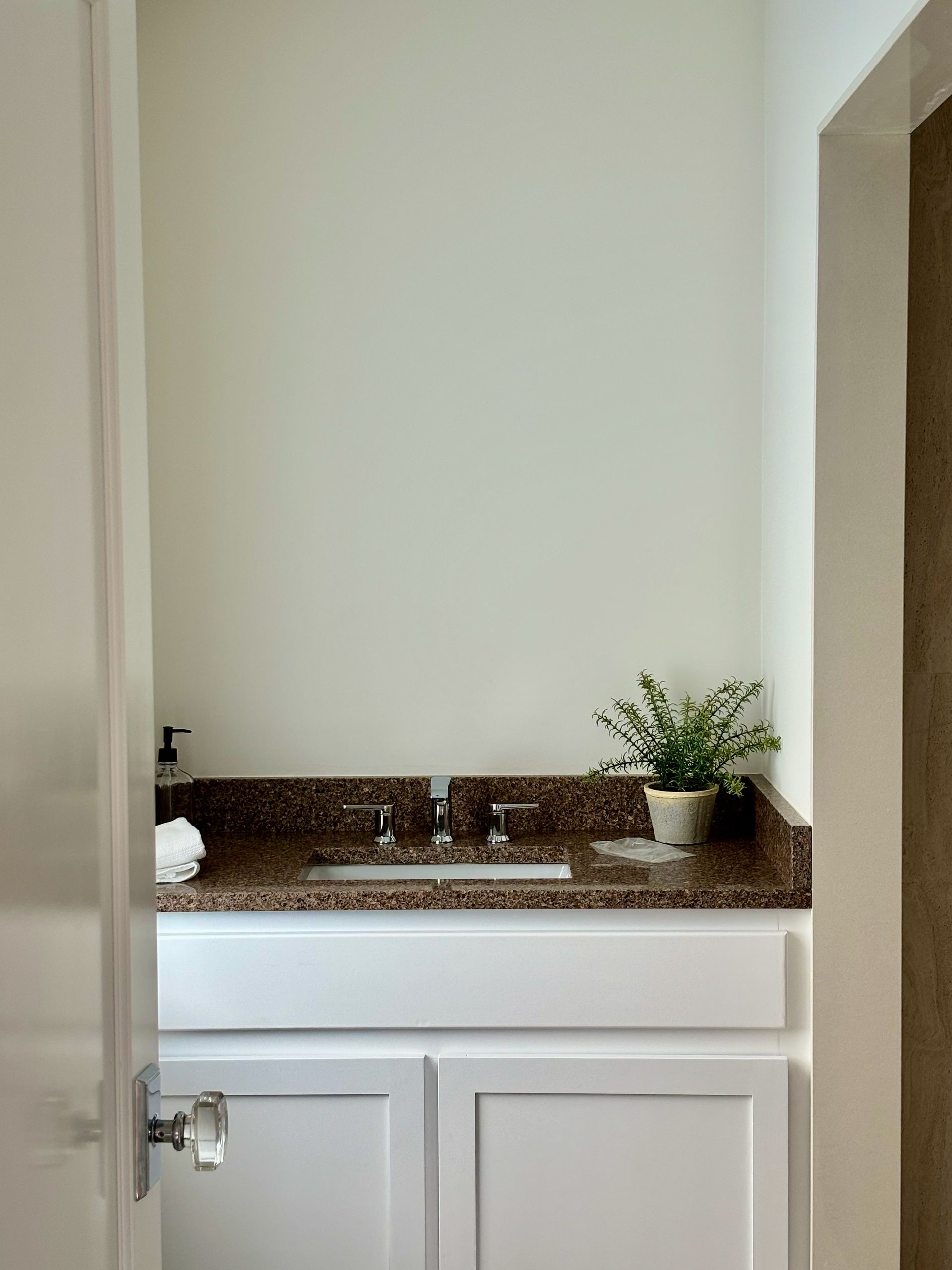 A bathroom with a sink and a plant on the counter