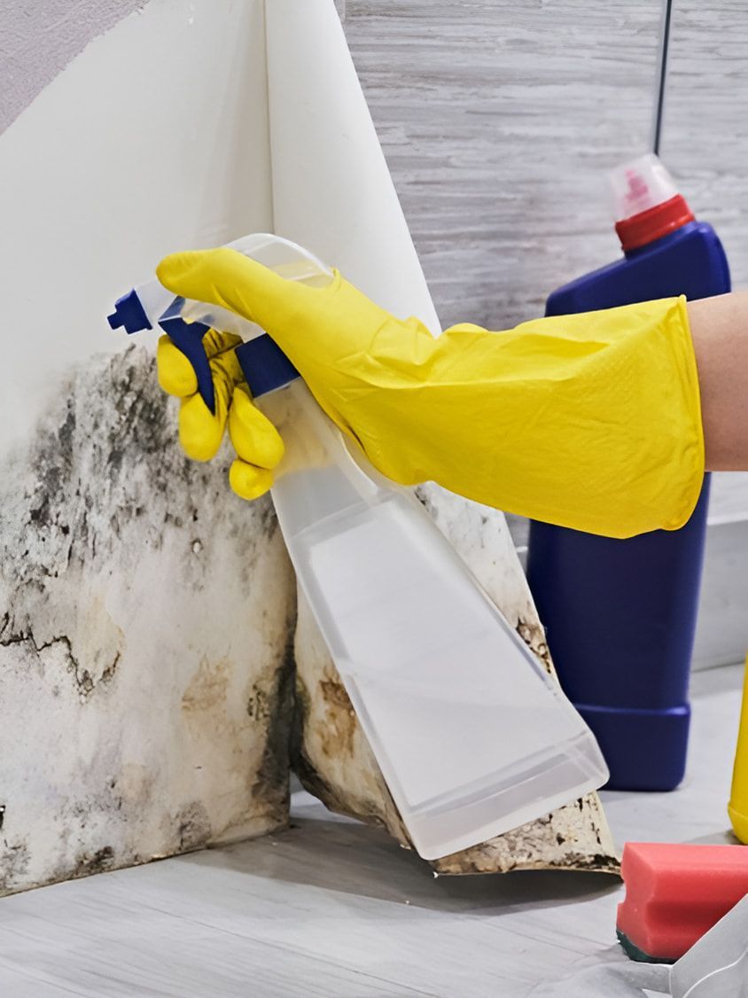A Person Wearing Yellow Gloves Is Cleaning A Wall With A Spray Bottle — DP Cleaning Supplies Pty Ltd In Mareeba, QLD