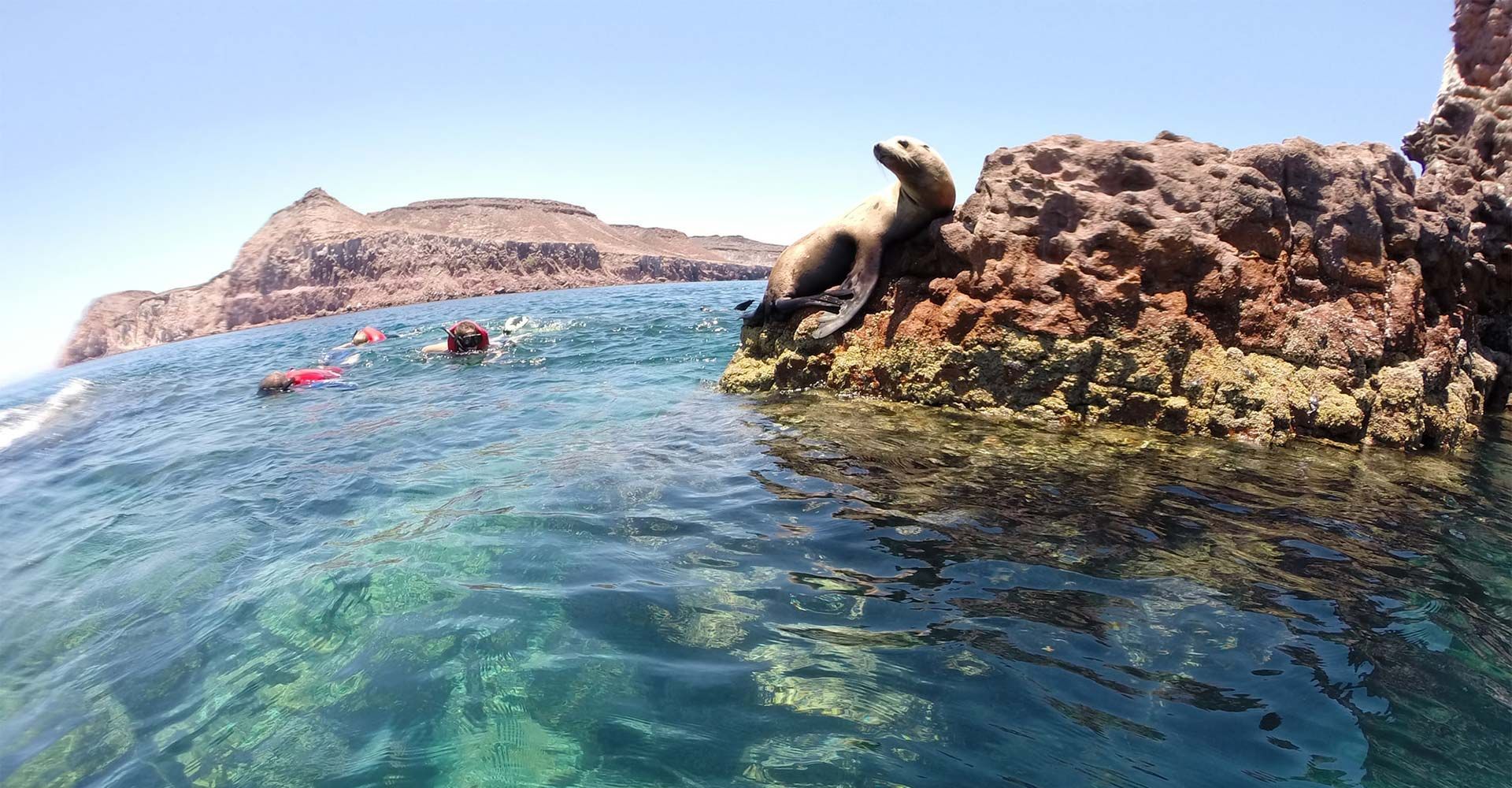 isla espiritu santo