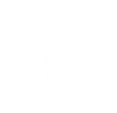A black and orange fist with rays coming out of it on a white background1