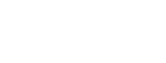 Vladimir & Associates