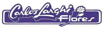 Carlos Larghi Flores