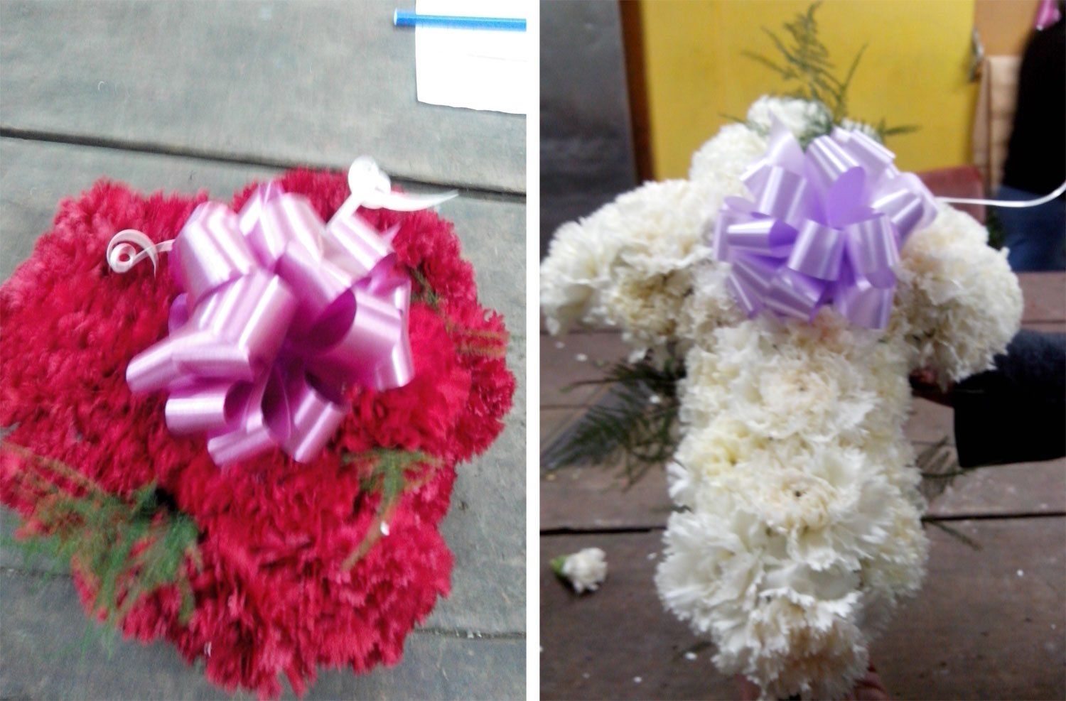 Carlos Larghi Flores