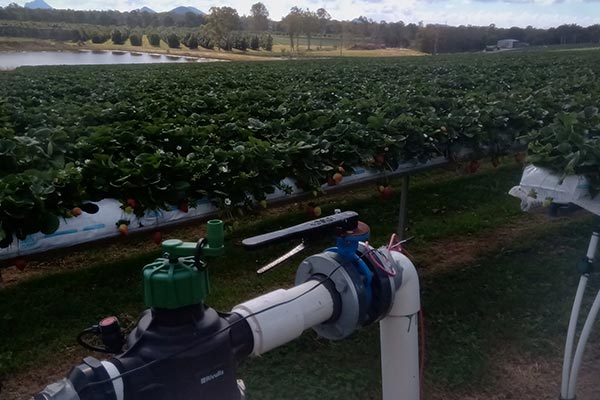 Irrigation — Pumps and Irrigation Systems in Sunshine Coast, QLD