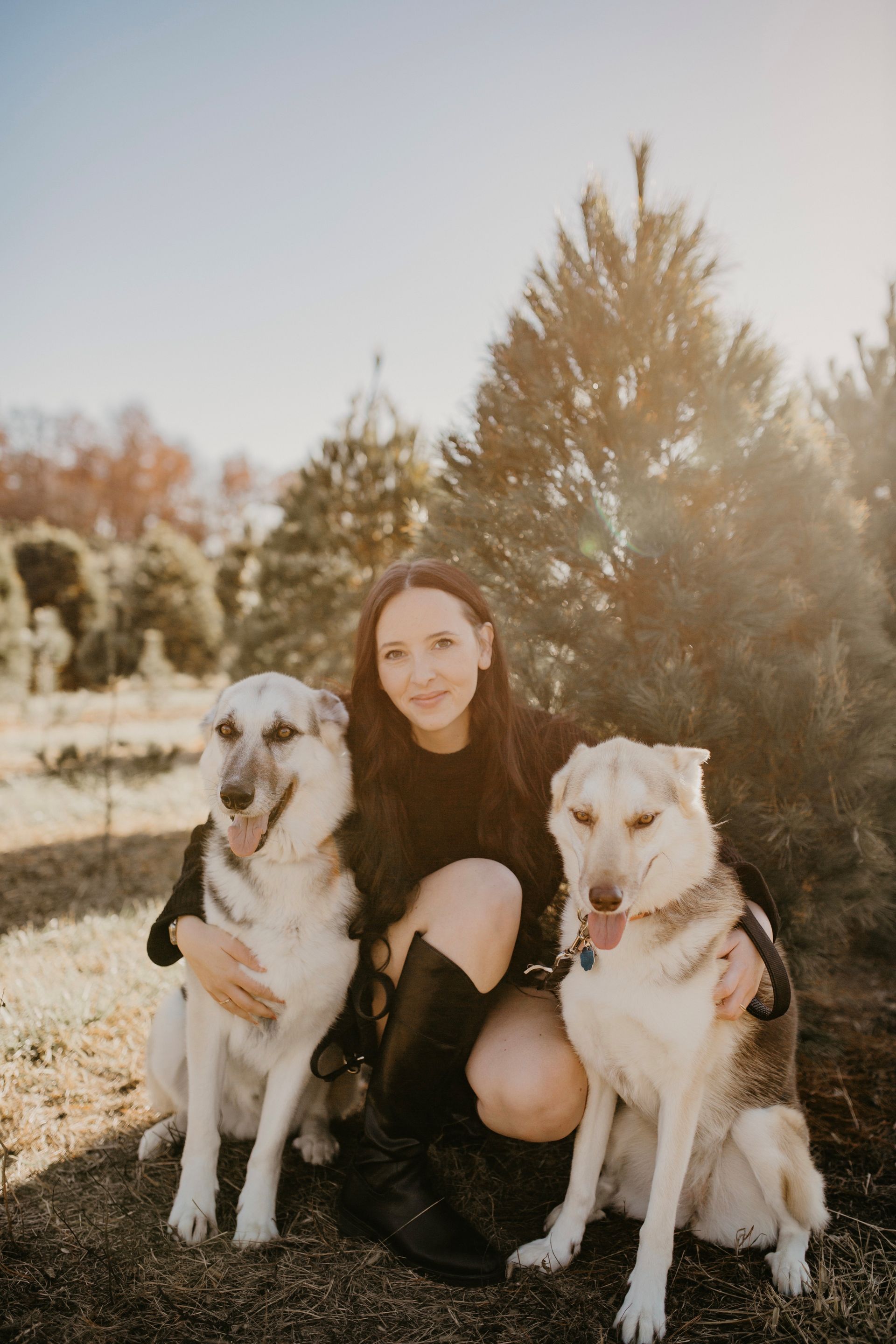 A person kneeling in a Christmas tree farm with two large, light-colored dogs, all smiling in the sunlight.