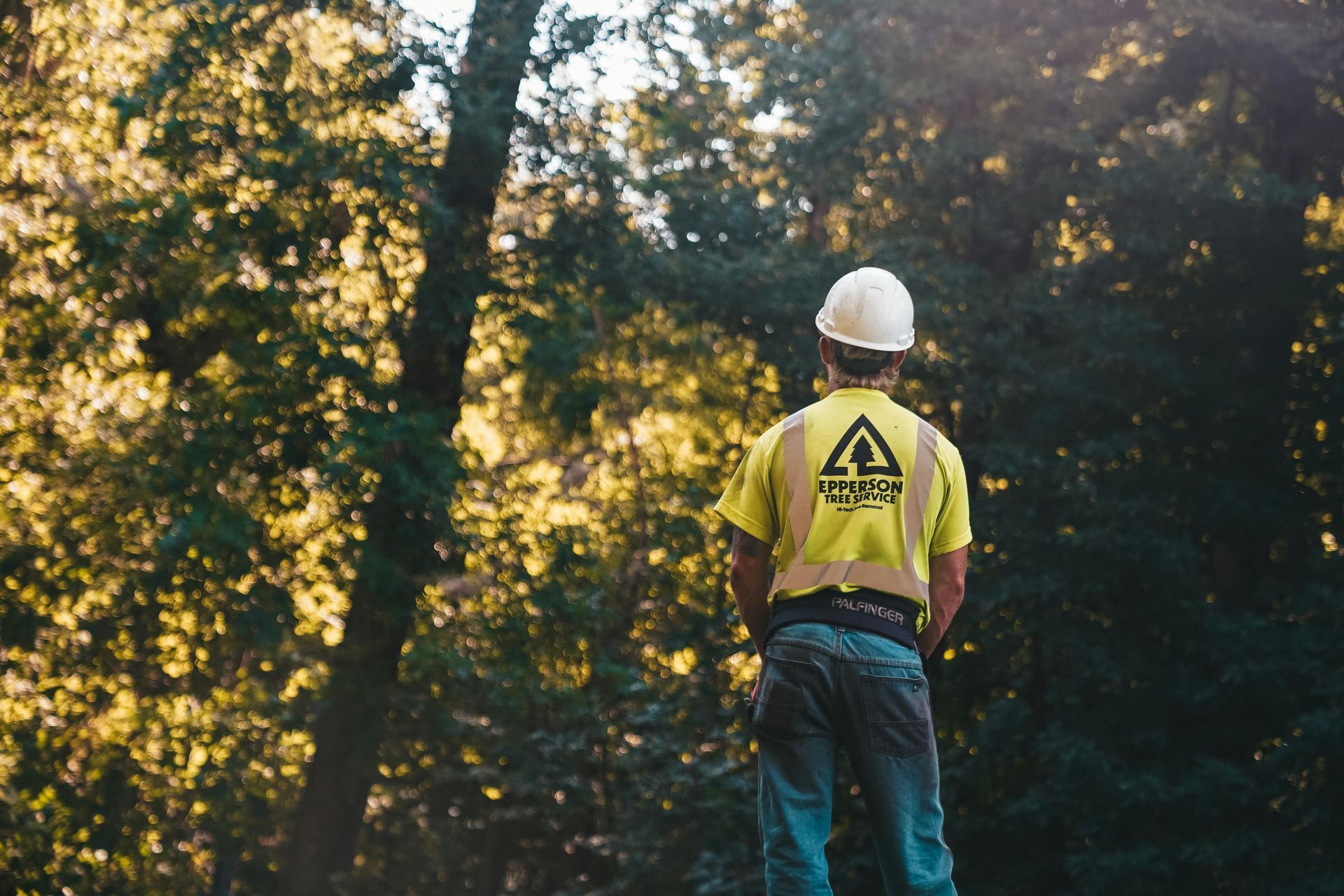 A man wearing a helmet and a yellow shirt looking at trees.