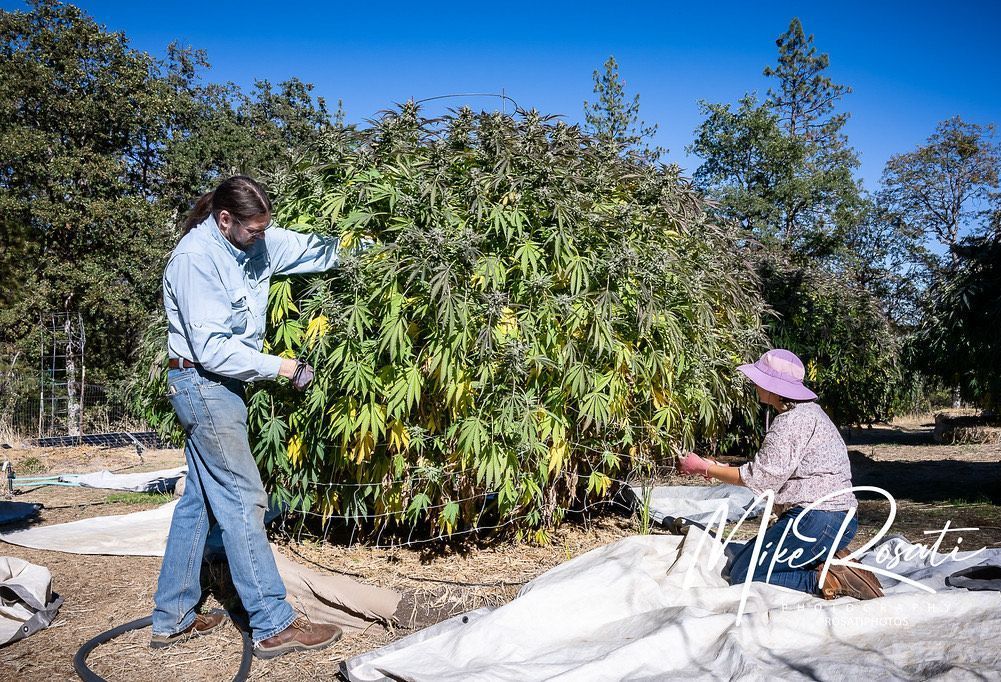 Meet-the-Farmers-First Cut Farms