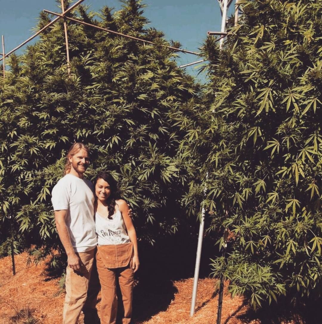 Meet-the Farmers -Sun Roots Farm