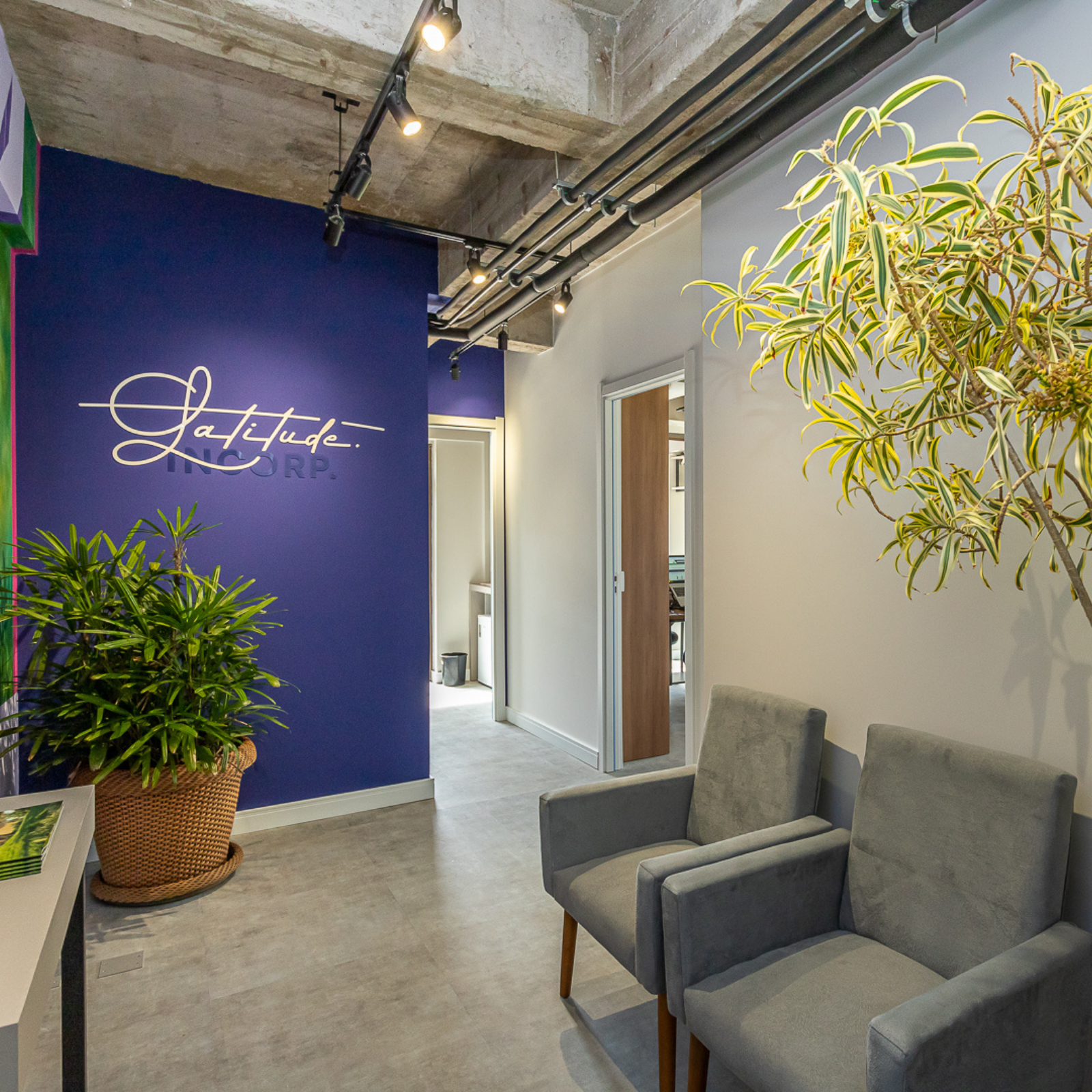 Uma sala de espera com duas cadeiras e um vaso de plantas.