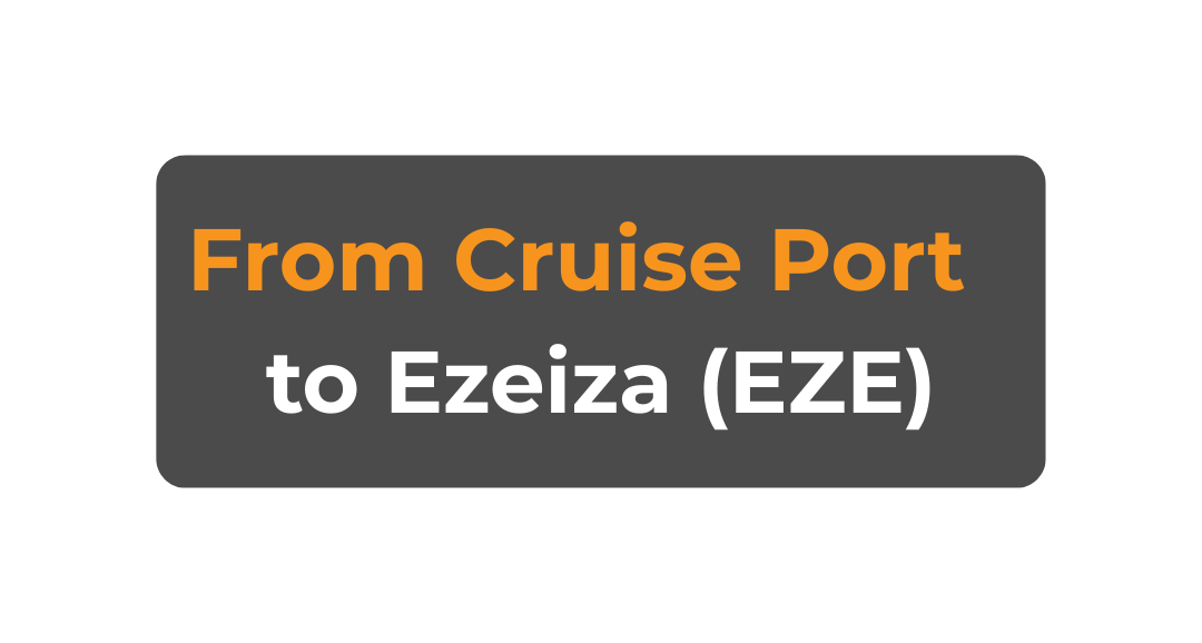 Travelers with luggage at Buenos Aires cruise terminal