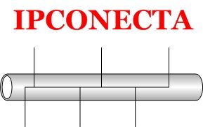 IPCONECTA
