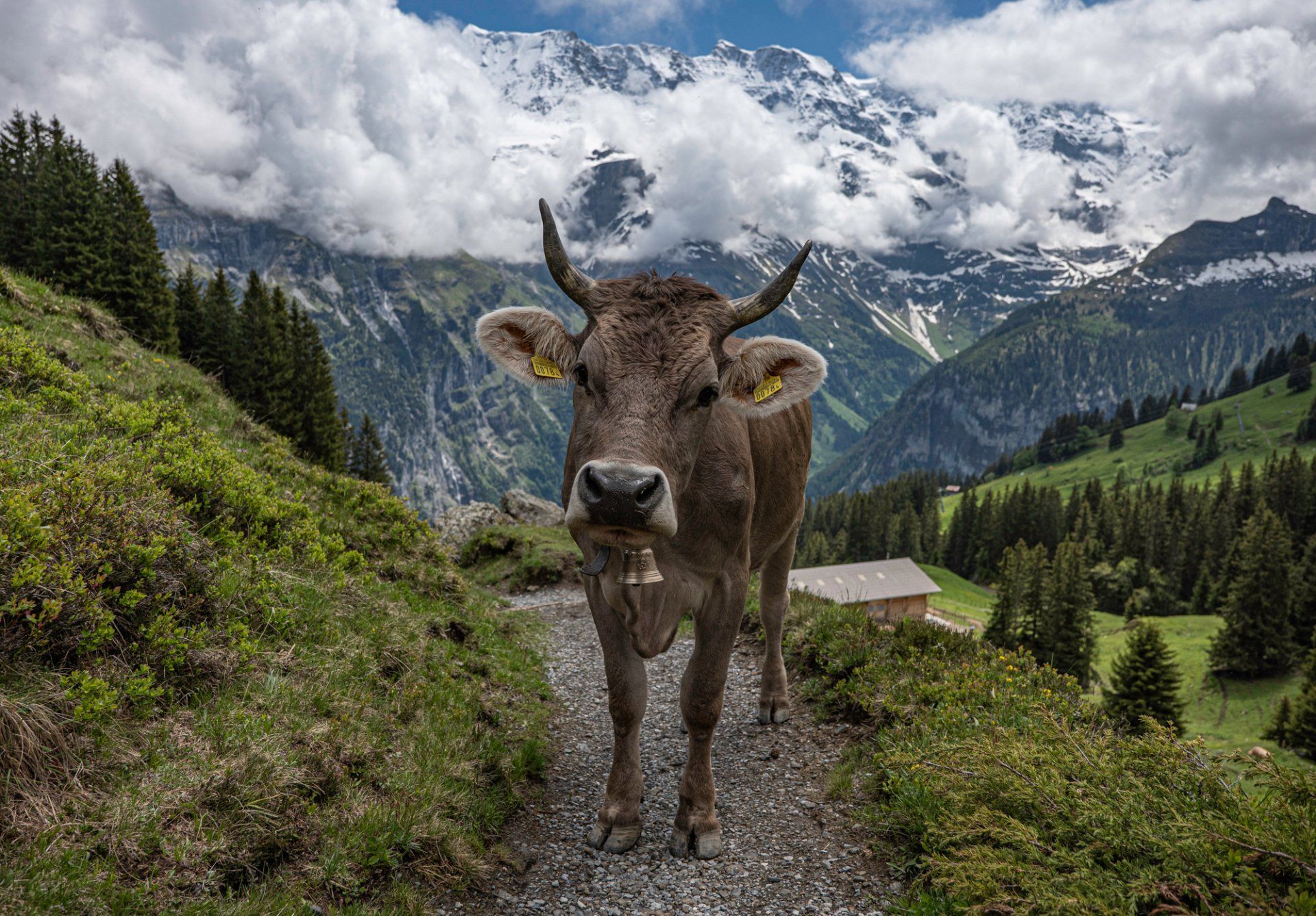 Murren, Switzerland