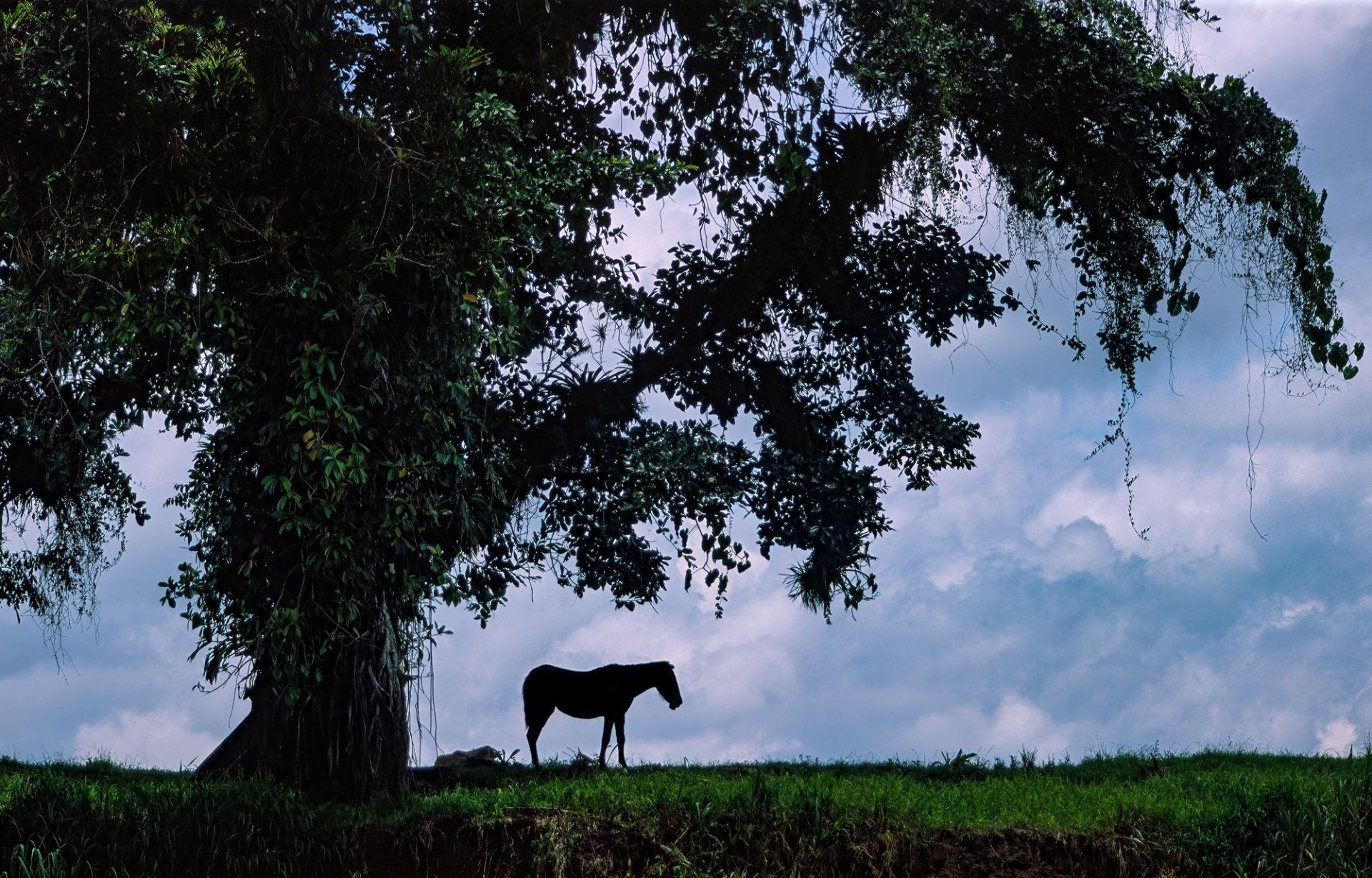 Costa Rica