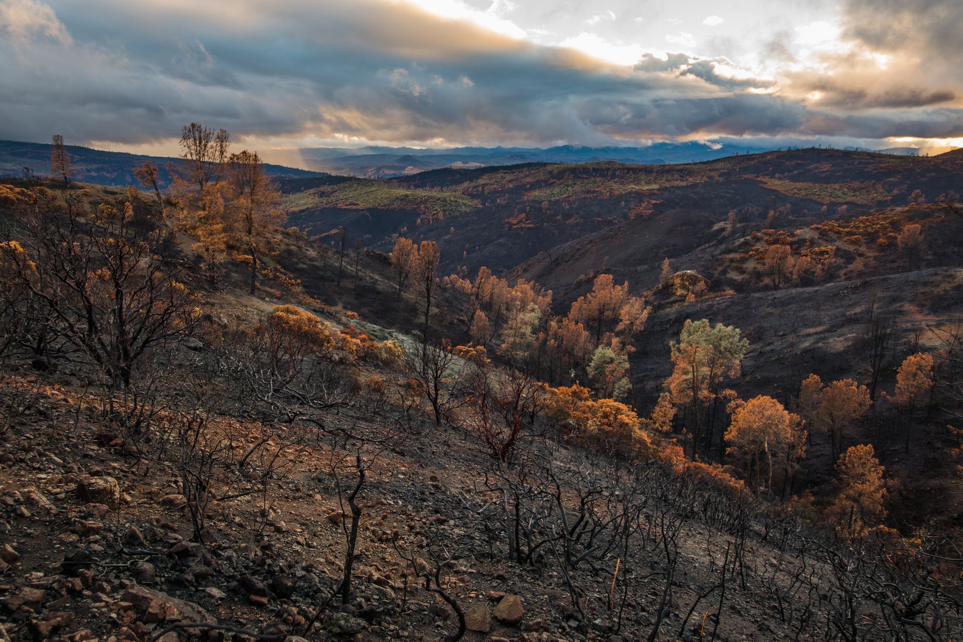  Firescape, Lake County, California 