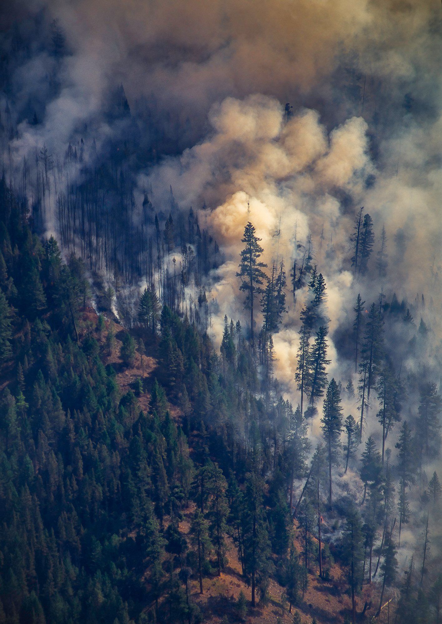 Smoke billows out of the Bitterroot National Forest, Montana.