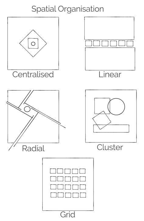 A diagram showing different types of spatial organization