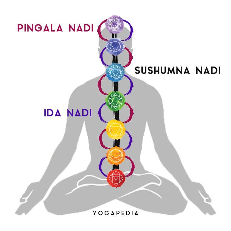 A silhouette of a person sitting in a lotus position with the chakras visible