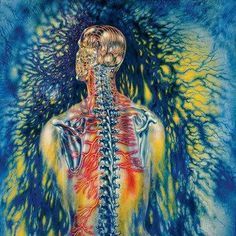 A painting of the back of a human body with a skeleton.