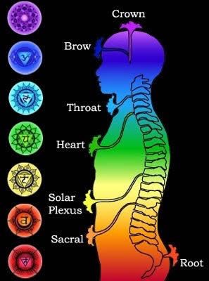 A diagram of the seven chakras of the human body