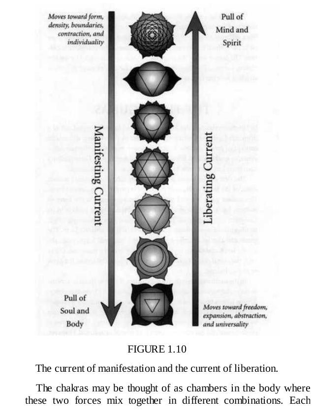 A diagram of the seven chakras showing the current of manifestation and the current of liberation.