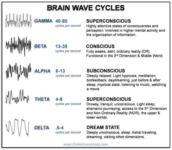 A poster showing the different brain wave cycles