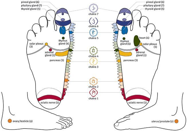 A diagram of a person 's feet showing the various points of acupuncture.