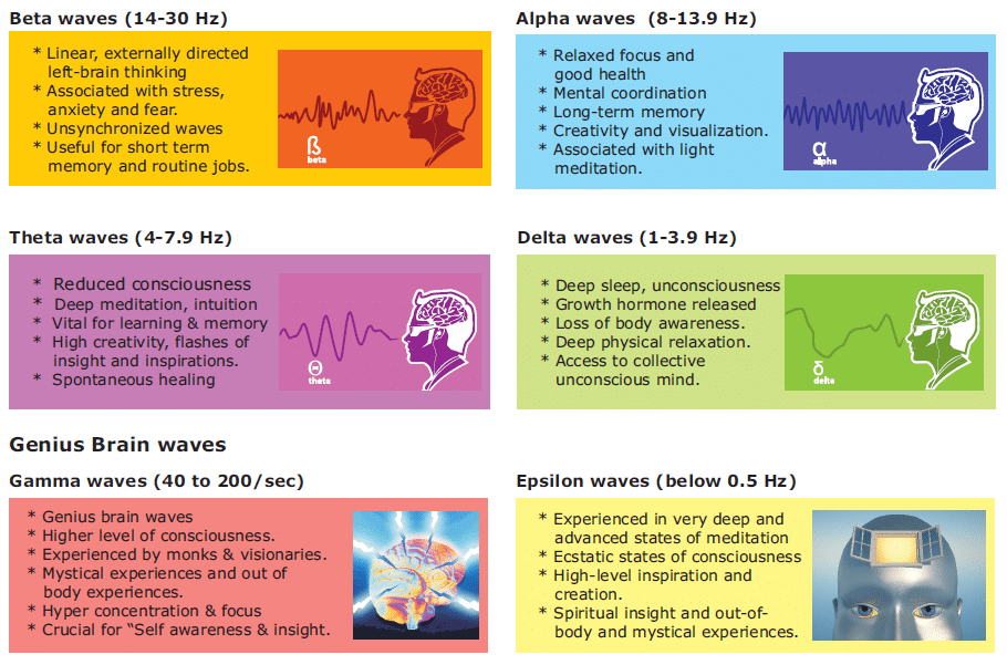 A poster showing different types of brain waves