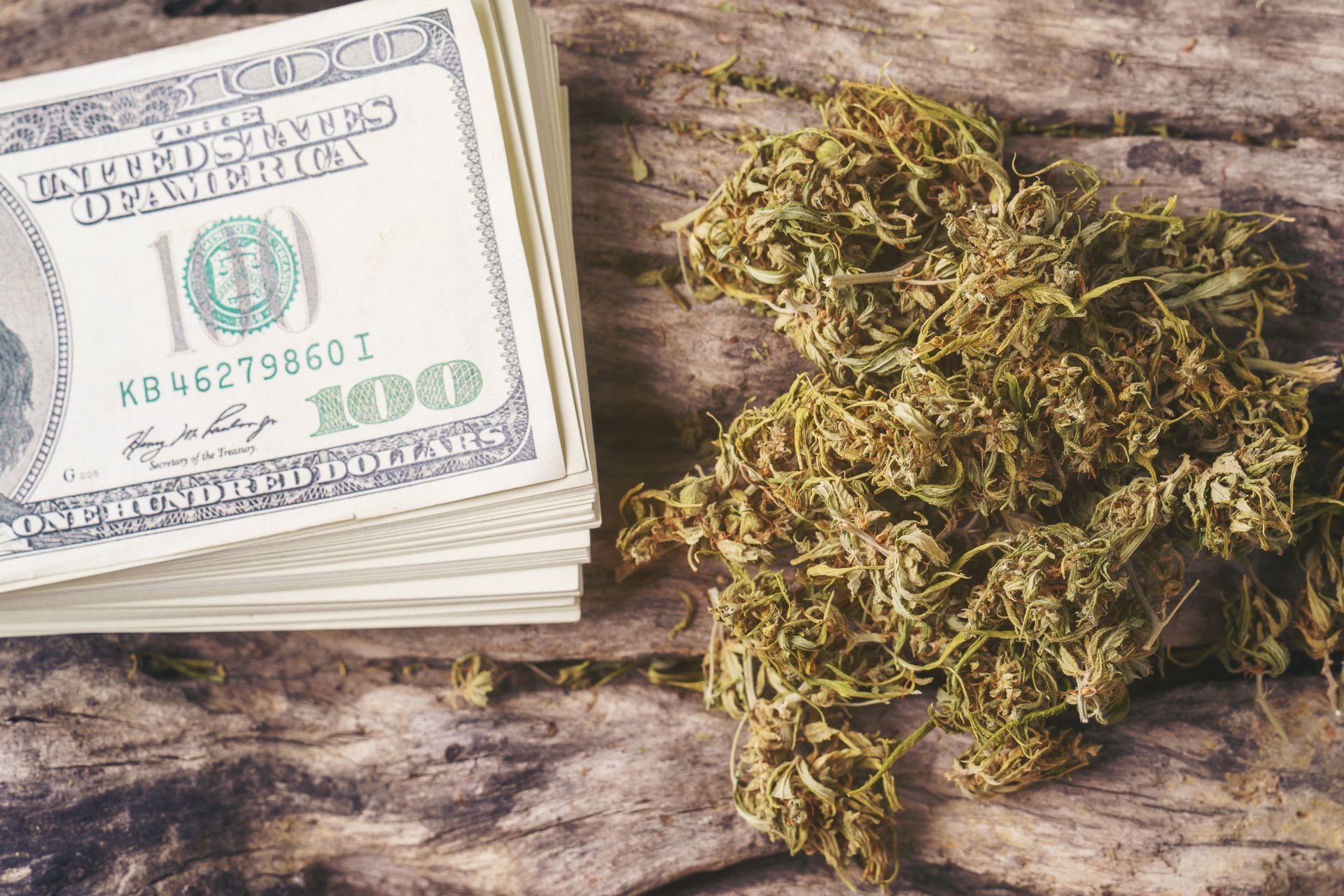 State-by-State Comparison of Cannabis Insurance Costs