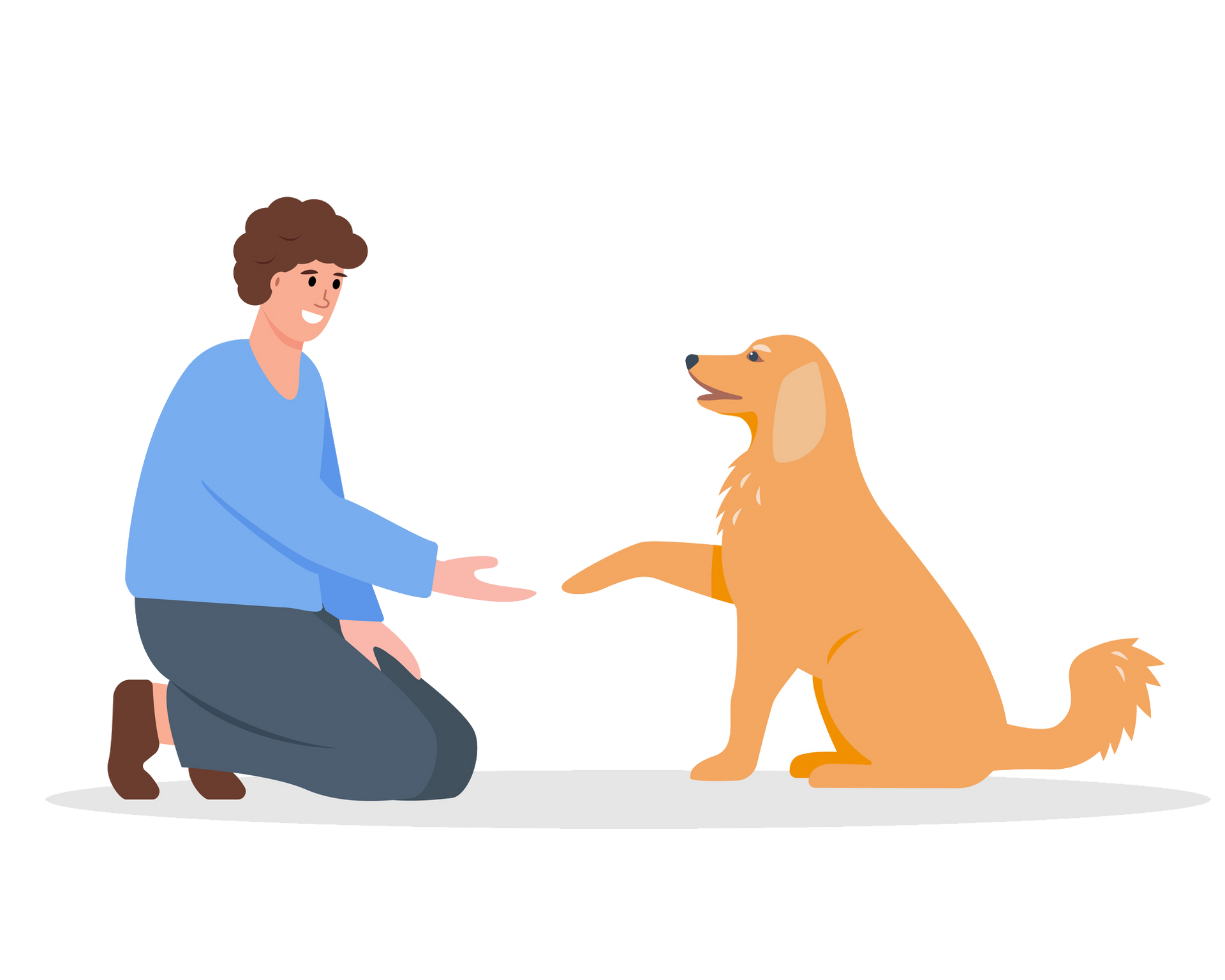 Man kneeling, training golden retriever to give paw, white background. Man kneeling, training golden retriever to give paw, white background.