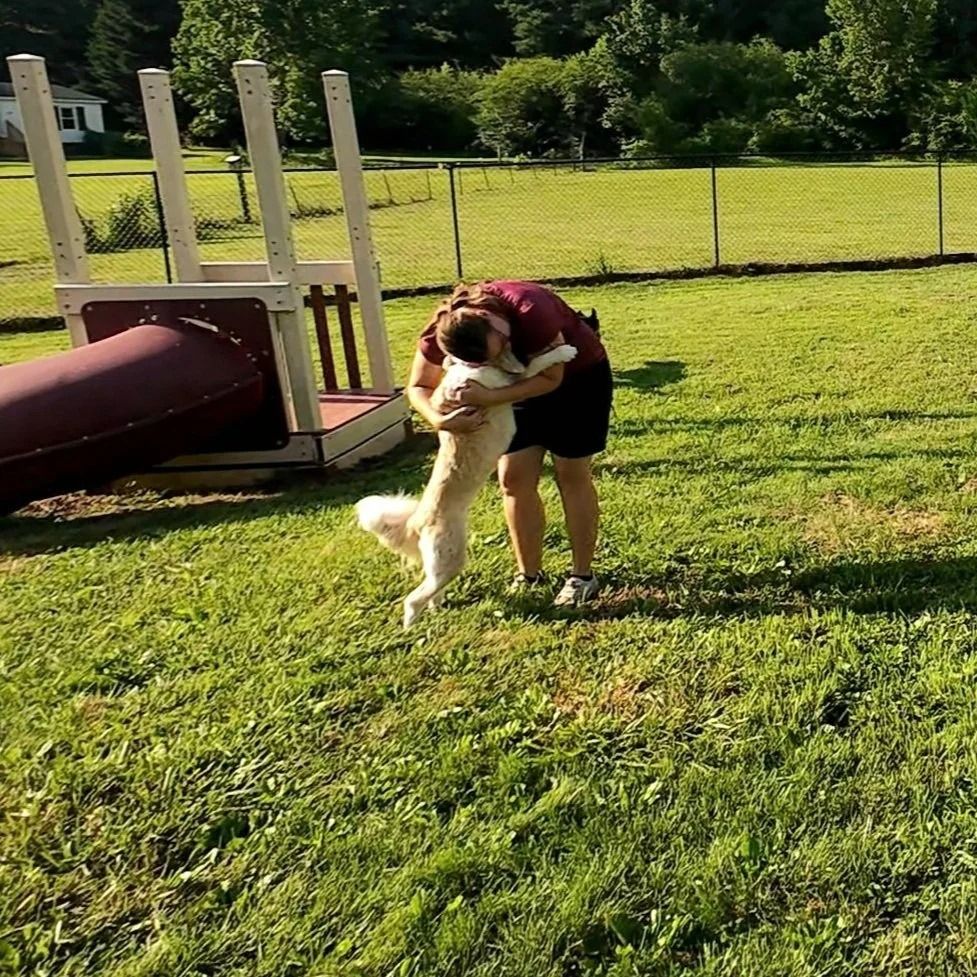 Woman hugs a jumping golden retriever on a grassy field near a playground.