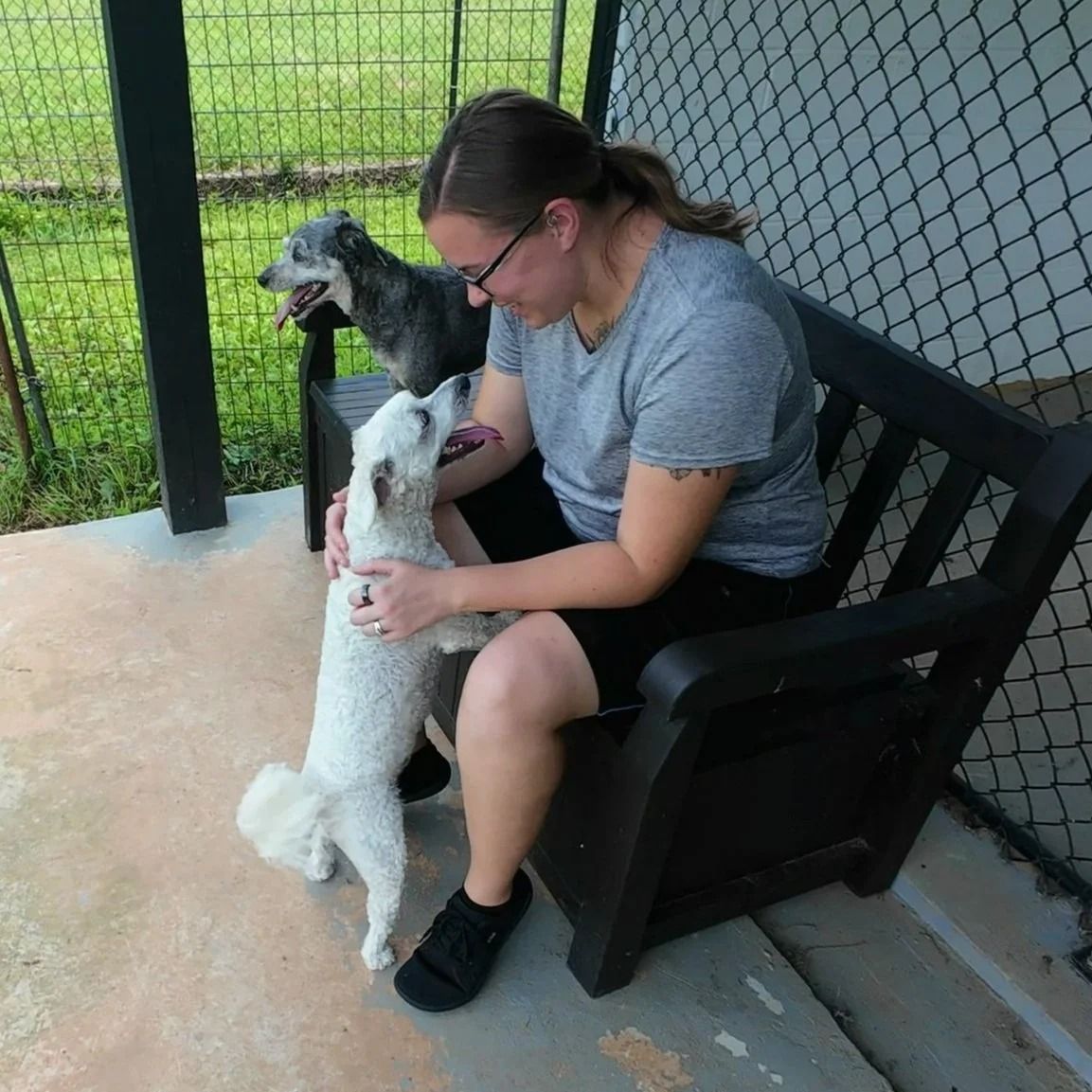 Woman petting a white dog on a bench; a gray dog looks on from behind.