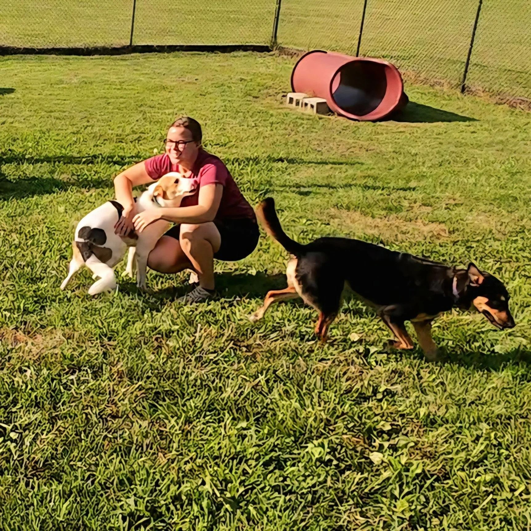 Woman crouches in a grassy dog park, hugging a dog; another dog walks by.