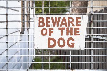 Beware of the dog sign — Personal Injury in Wappingers Falls, NY